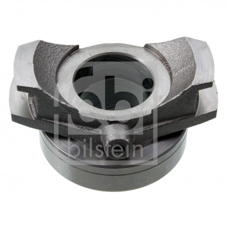 Guolis išminamas