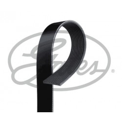 Dirželis Scania 10PK2220, 10PK2215, 10PK2216, 10PK2217, 10PK2218, 10PK2219, 10PK2221, 10PK2222, 10PK2223, 10PK2224, 10PK2225, Diržas Scania 10PK2220, 10PK2215, 10PK2216, 10PK2217, 10PK2218, 10PK2219, 10PK2221, 10PK2222, 10PK2223, 10PK2224, 10PK2225,