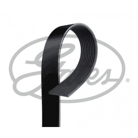 Dirželis Scania 10PK2220, 10PK2215, 10PK2216, 10PK2217, 10PK2218, 10PK2219, 10PK2221, 10PK2222, 10PK2223, 10PK2224, 10PK2225, Diržas Scania 10PK2220, 10PK2215, 10PK2216, 10PK2217, 10PK2218, 10PK2219, 10PK2221, 10PK2222, 10PK2223, 10PK2224, 10PK2225,