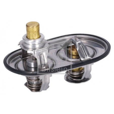 Termostatas Scania,