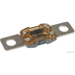 Saugiklis Mega fuse (300 amp)