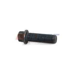 Varžtas M18x1.5x60/78 disko tvirtinimo TORX E24