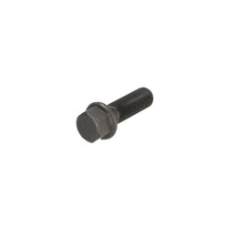 Varžtas M20x2.0x65 suporto