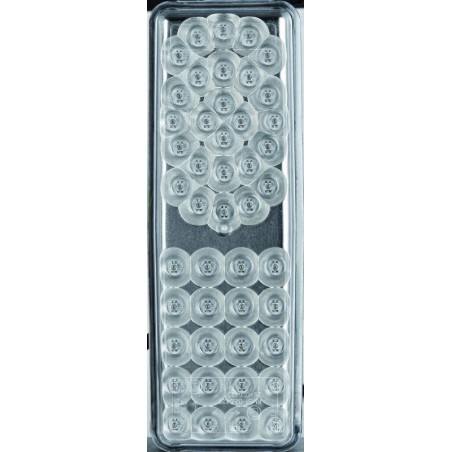 Žibintas galinis